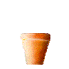 flowerpot